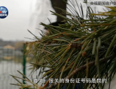 林更新王丽坤挽手回家恋情坐实细数他的绯闻女友，倡议保藏！交通事变抵偿清单（2024版）（【转扩】产生工伤奈何抵偿？这个清简单清二楚！）